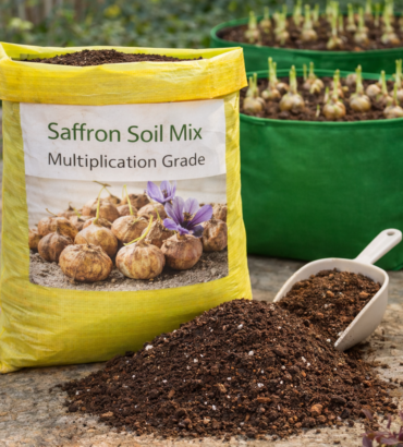 Soil Mix – for Bulb Multiplication